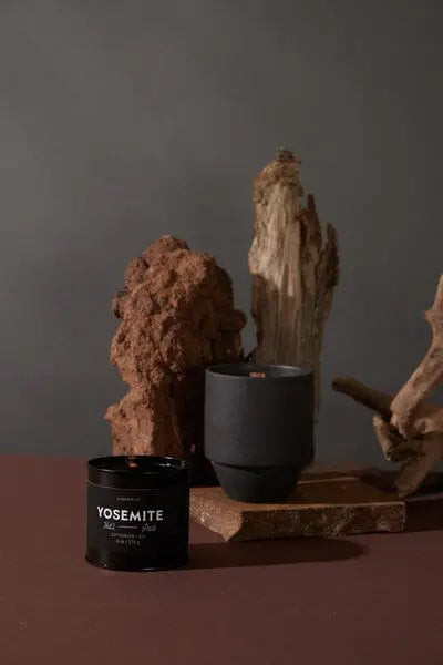 Paddywax Yosemite - 6 Oz Tin Candle