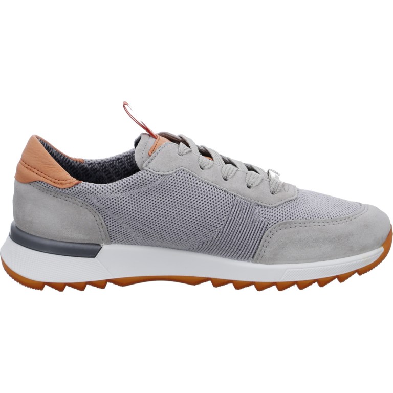 Padmore & Barnes Ara Ladies Venice Gore-Tex Sneaker – Grey