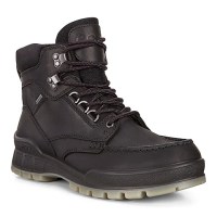 padmore & barnes Ecco Mens Track 25 Gore-Tex Boot – Bison