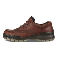 Padmore & Barnes Ecco Mens Track 25 Gore-Tex Shoe – Bison