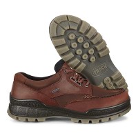 Padmore & Barnes Ecco Mens Track 25 Gore-Tex Shoe – Bison