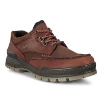 padmore & barnes Ecco Mens Track 25 Gore-Tex Shoe – Bison