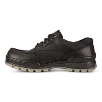 Padmore & Barnes Ecco Mens Track 25 Gore-Tex Shoe – Black