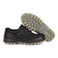 Padmore & Barnes Ecco Mens Track 25 Gore-Tex Shoe – Black