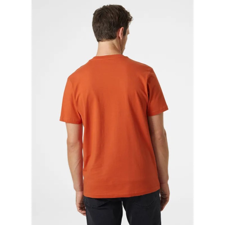 Padmore & Barnes Helly Hansen Mens Box T-Shirt – Terracotta