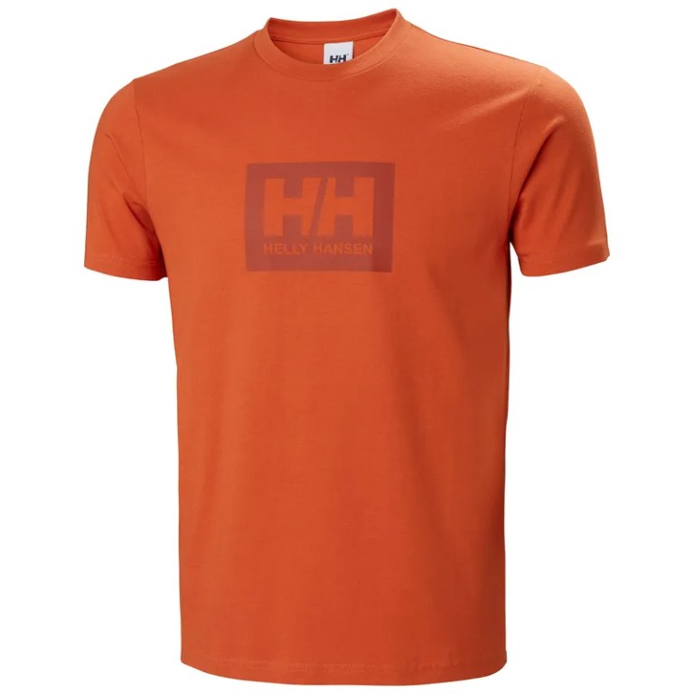 padmore & barnes Helly Hansen Mens Box T-Shirt – Terracotta