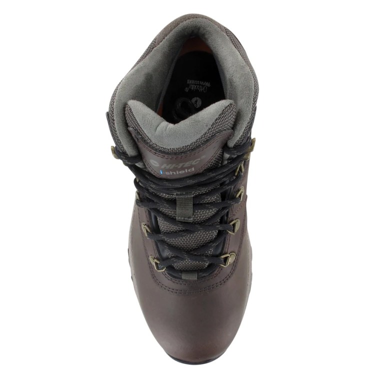 Padmore & Barnes Hi-Tec Ladies Altitude VI I Hiking Boot – Chocolate