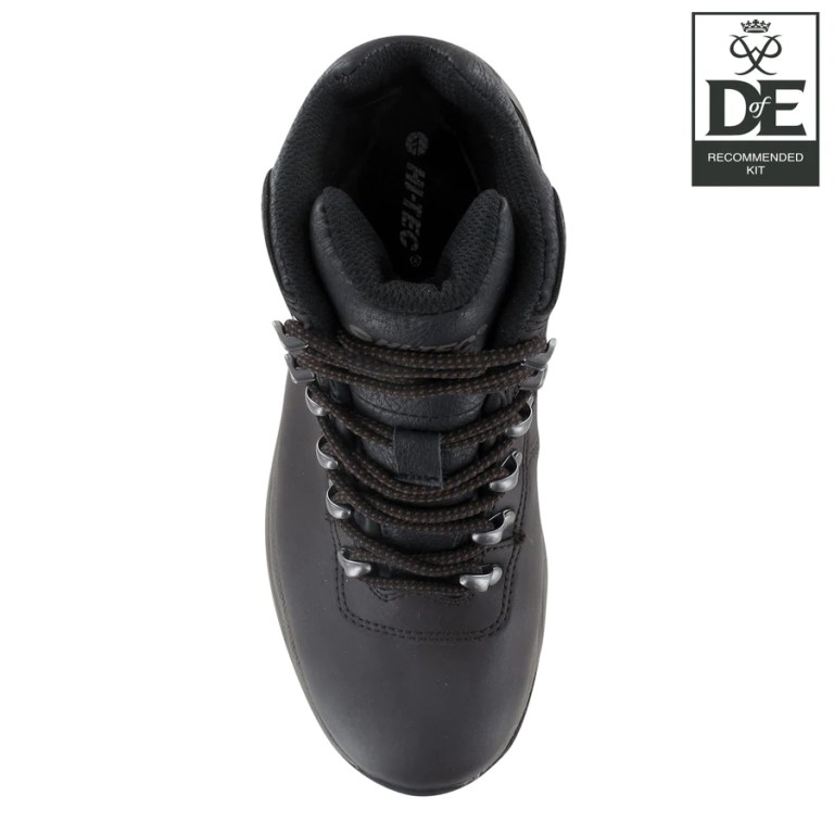 Padmore & Barnes Hi-Tec Ladies Eurotrek Lite Hiking Boot – Dark Chocolate