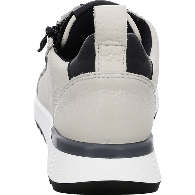 Padmore & Barnes Ara Ladies Venice Sneaker – Cloud