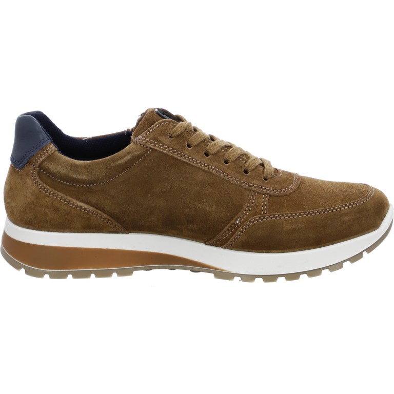 Padmore & Barnes Ara Mens Matteo Shoe – Tan