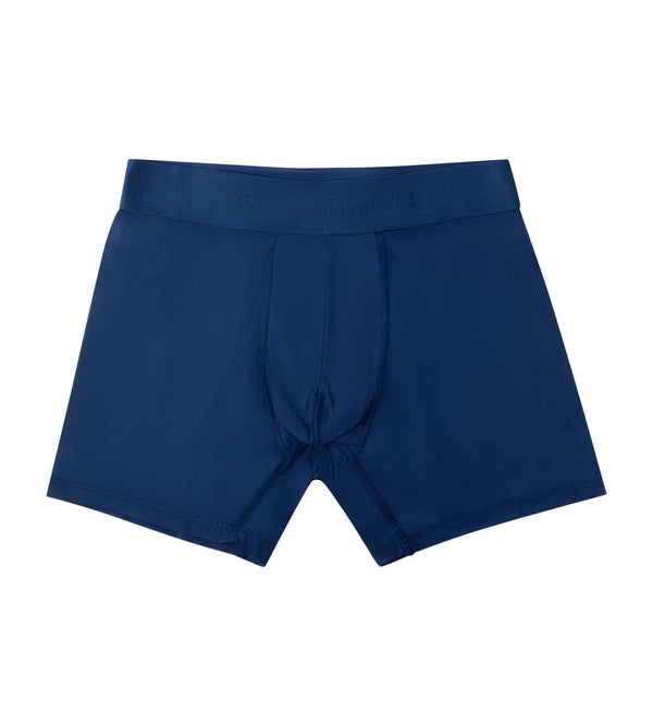 pair of thieves Boxer briefs 2 pack
