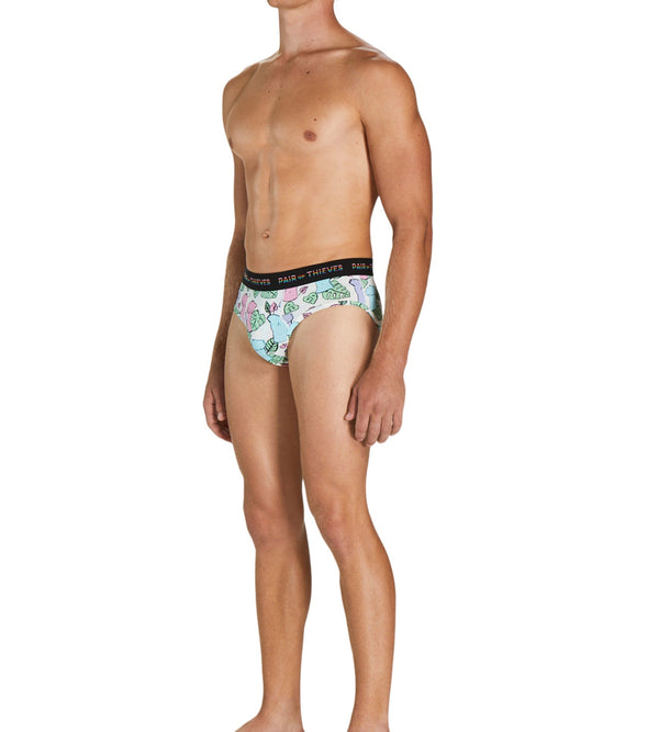 Pair Of Thieves Briefs 1 Pack
