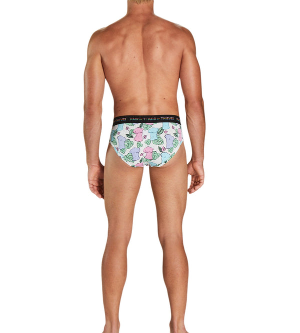 Pair Of Thieves Briefs 1 Pack