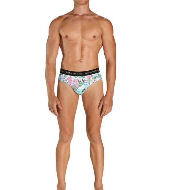 pair of thieves Briefs 1 pack