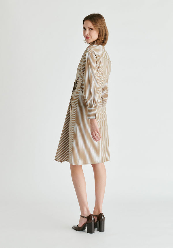 paisie Asymmetric Striped Shirt Dress with Button Detail