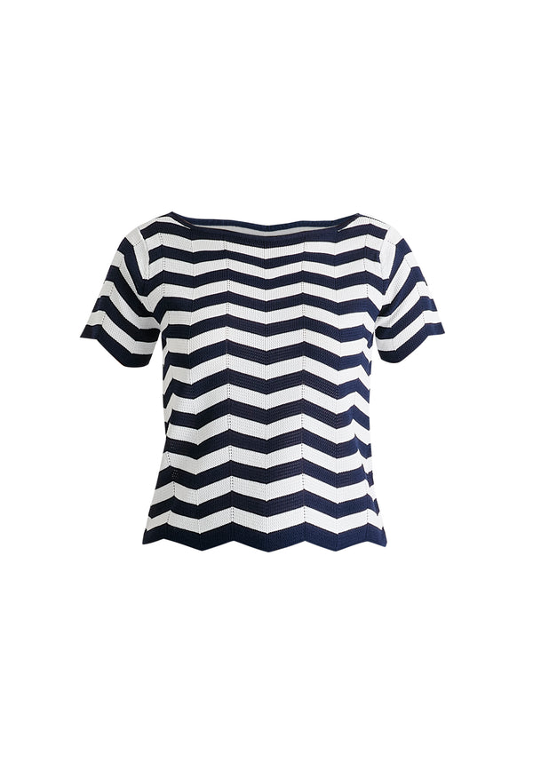 Paisie Boat Neck Knit Top In Zigzag Pattern