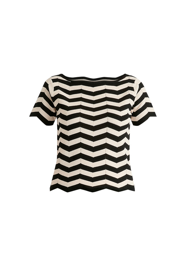 Paisie Boat Neck Knit Top In Zigzag Pattern
