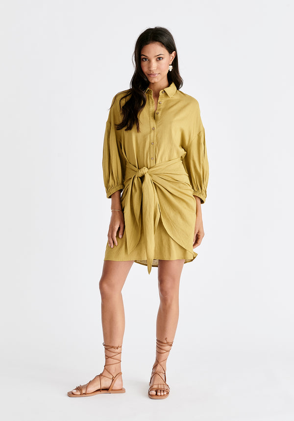 Paisie Linen Blend Shirt Dress