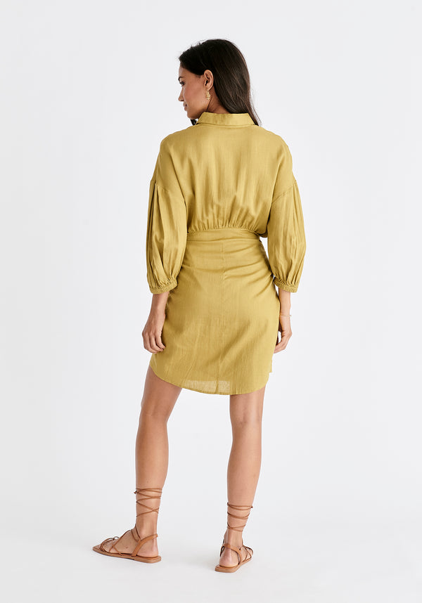 Paisie Linen Blend Shirt Dress