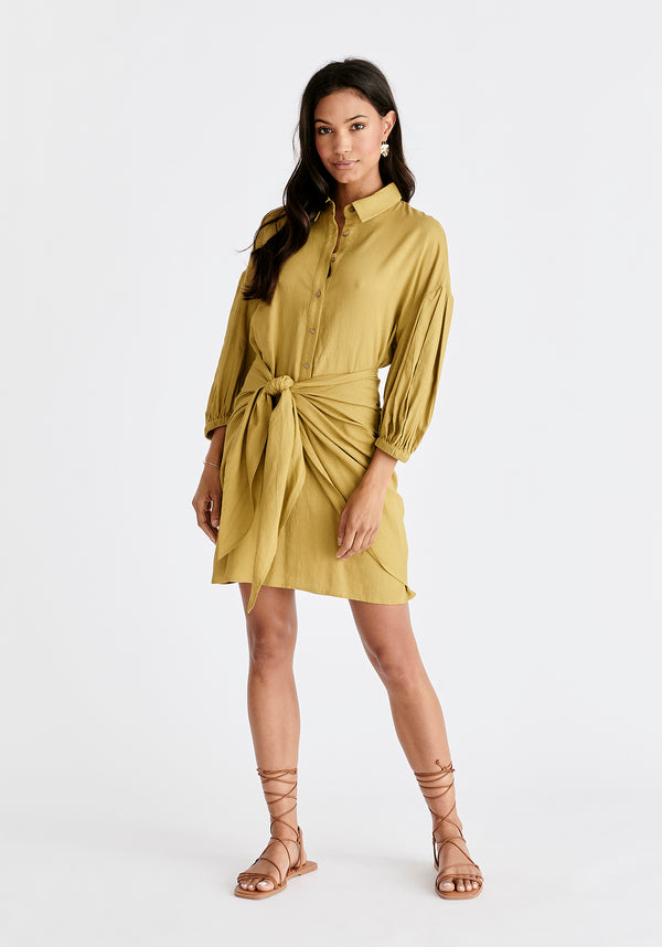 paisie Linen Blend Shirt Dress