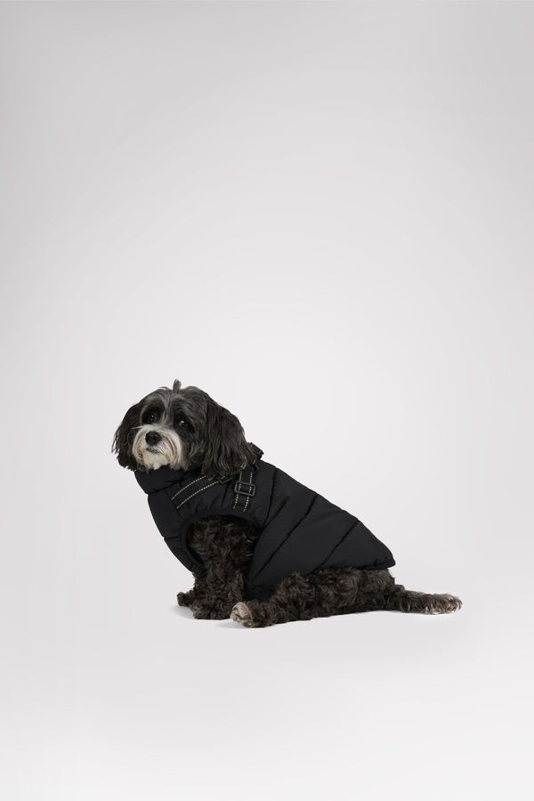 Pajar Canada Atlas Puffer Jacket With Built-In Harness For Dogs