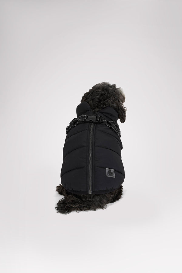 pajar canada Atlas Puffer Jacket with Built-In Harness for Dogs