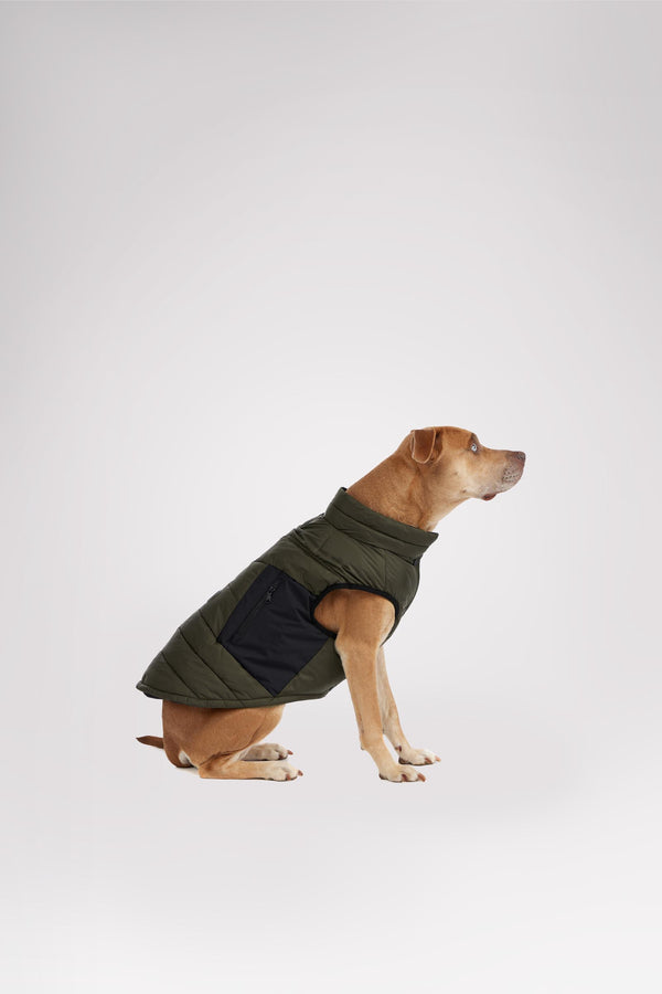 Pajar Canada Beau Jacket W/Leash Attachment For Dogs