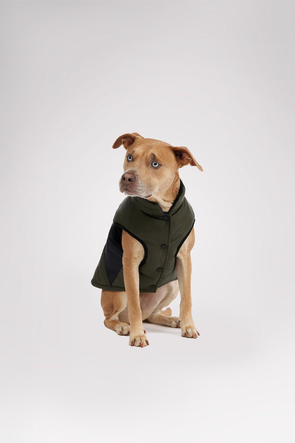 Pajar Canada Beau Jacket W/Leash Attachment For Dogs