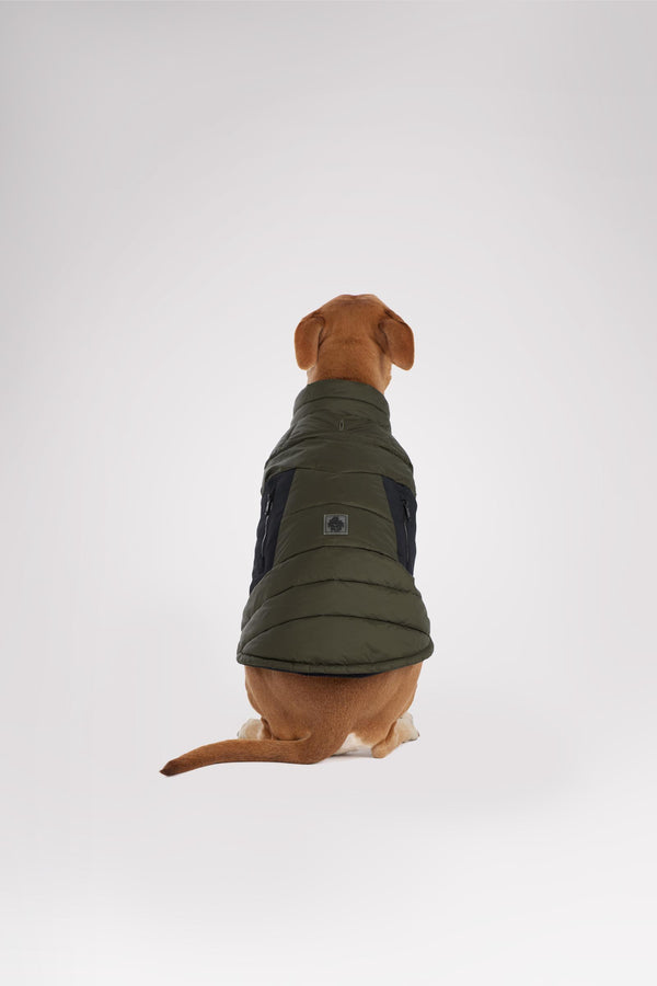 pajar canada Beau Jacket w/Leash Attachment for Dogs