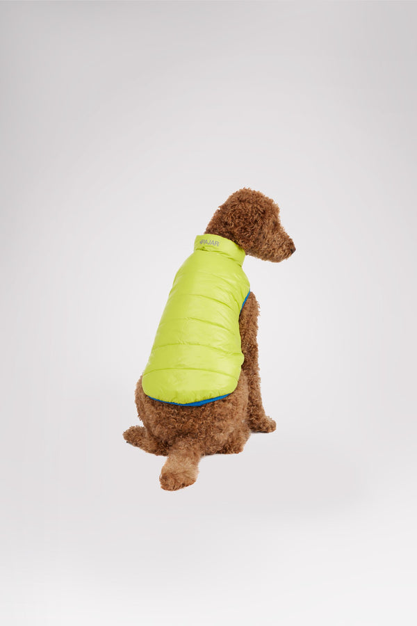 Pajar Canada Cora Reversible Packable Puffer For Dogs