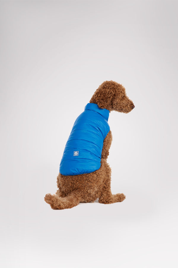 pajar canada Cora Reversible Packable Puffer for Dogs