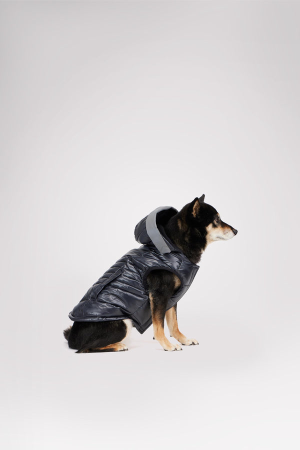 Pajar Canada Miles Quilted Coat With Reflective Visor For Dogs