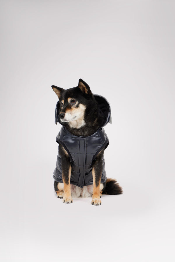 Pajar Canada Miles Quilted Coat With Reflective Visor For Dogs