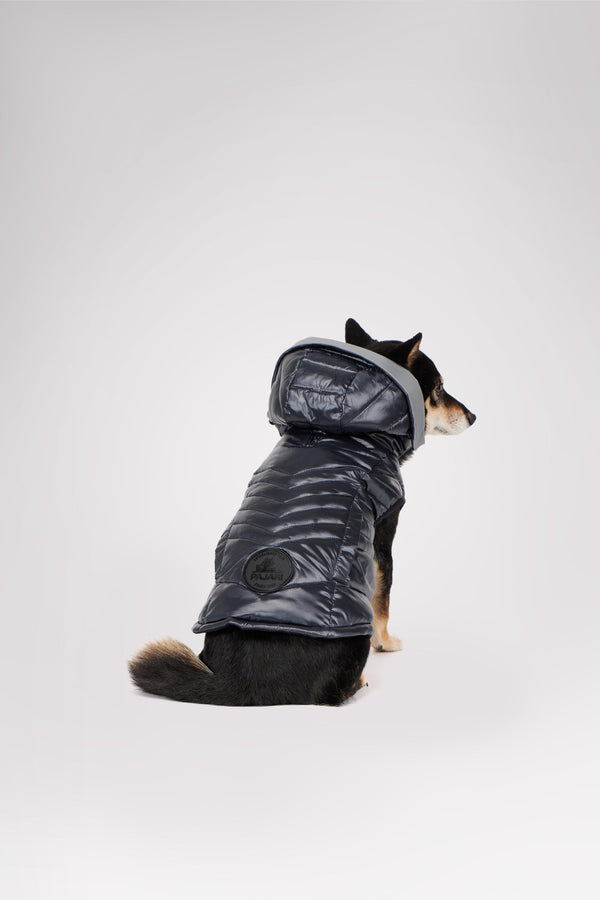 pajar canada Miles Quilted Coat with reflective Visor for Dogs