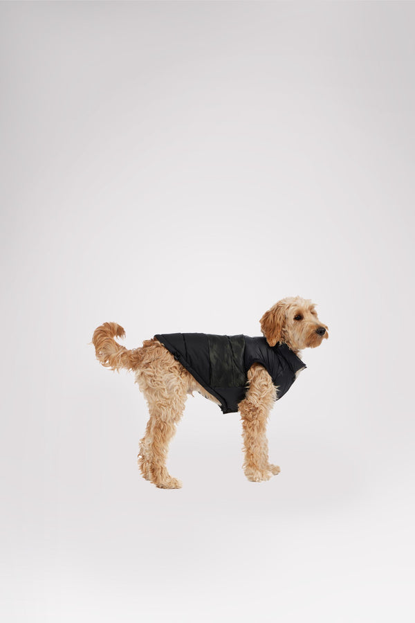 Pajar Canada Alexis Jacket For Dogs