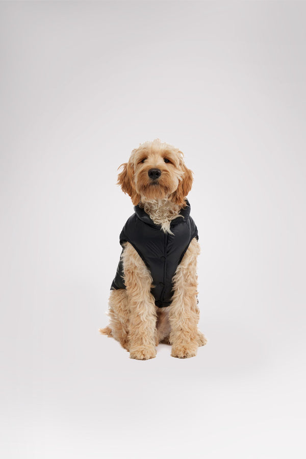 Pajar Canada Alexis Jacket For Dogs
