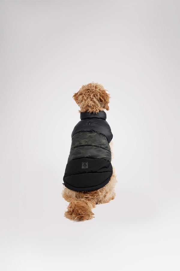 pajar canada Alexis Jacket for Dogs