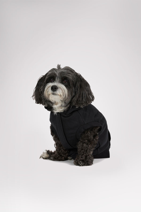 Pajar Canada Dash Hoodie For Dogs