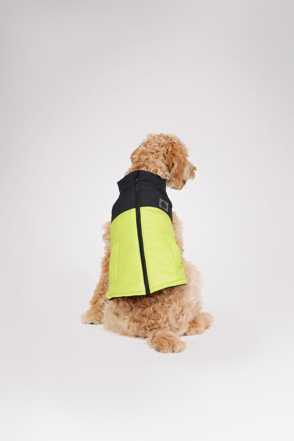 pajar canada Derby Sporty Jacket for Dogs