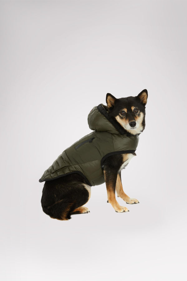 Pajar Canada Eddie Jacket For Dogs