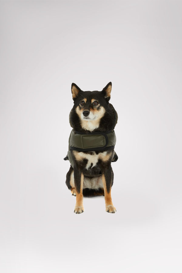 Pajar Canada Eddie Jacket For Dogs