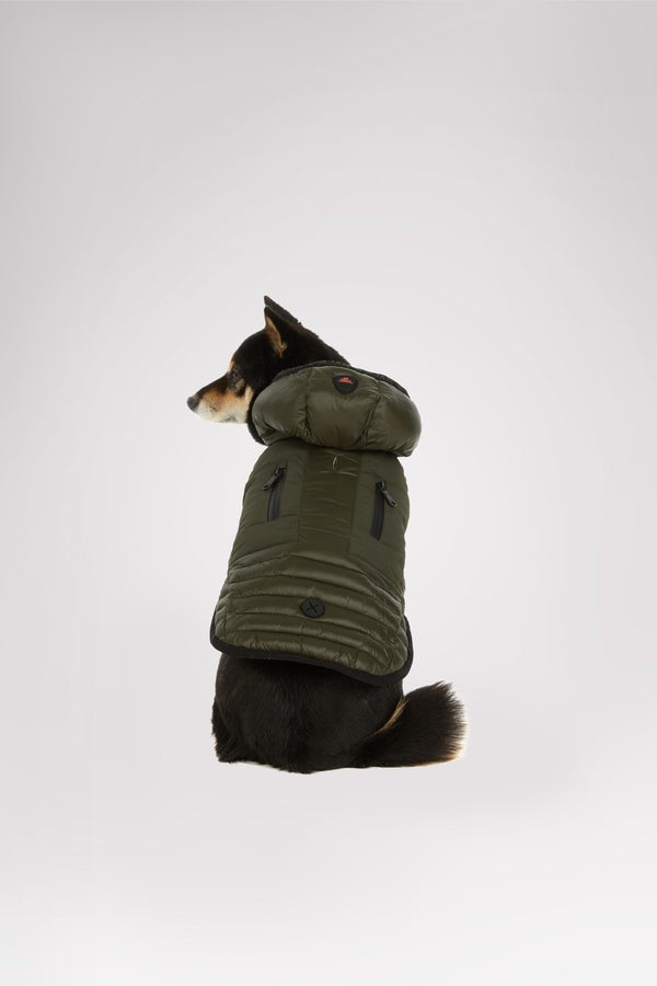 pajar canada Eddie Jacket for Dogs