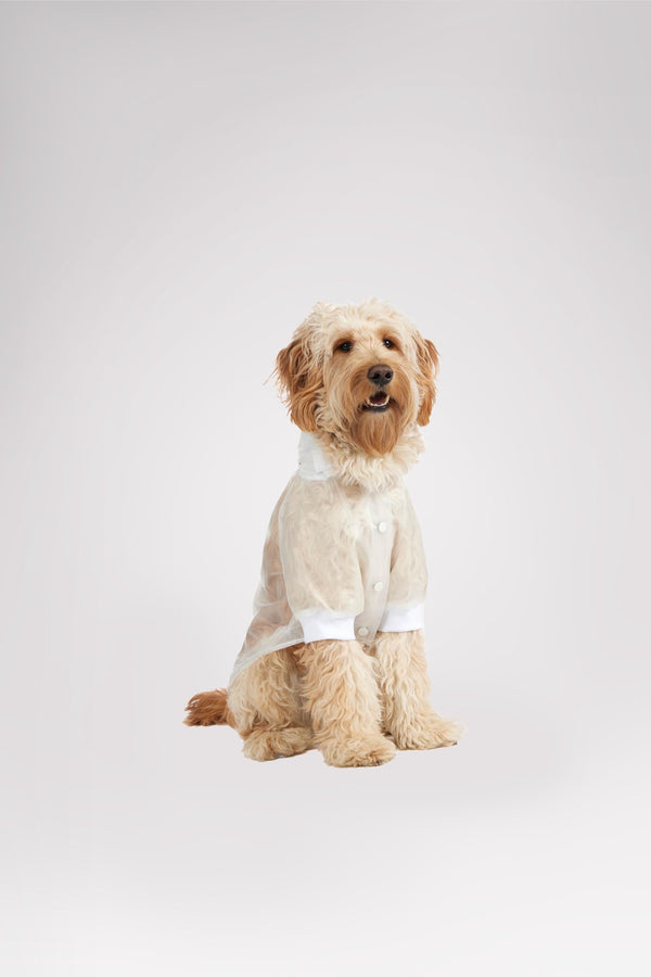 Pajar Canada Iggy Rain Jacket W/hood For Dogs