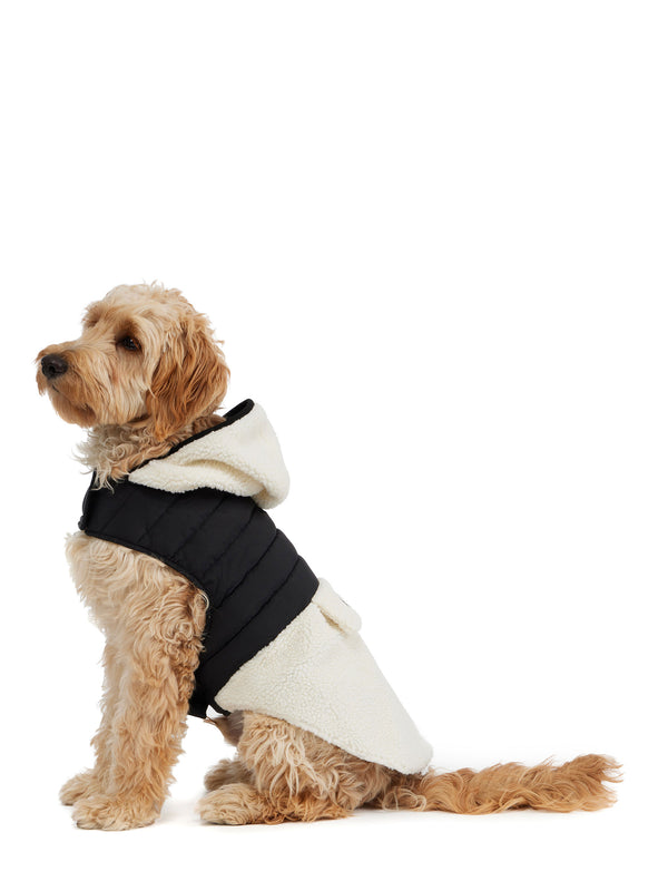 Pajar Canada Loki Easy Fit Jacket W/Hood For Dogs
