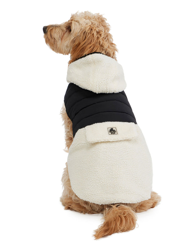 pajar canada Loki Easy Fit Jacket w/Hood for Dogs