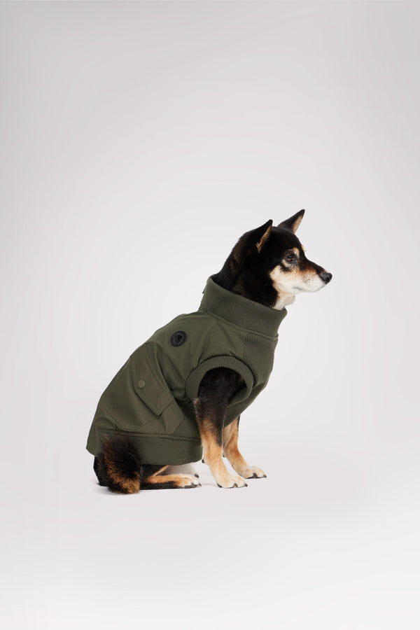 Pajar Canada Marley Bomber Jacket For Dogs