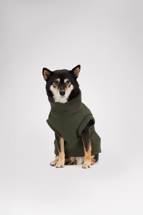 Pajar Canada Marley Bomber Jacket For Dogs
