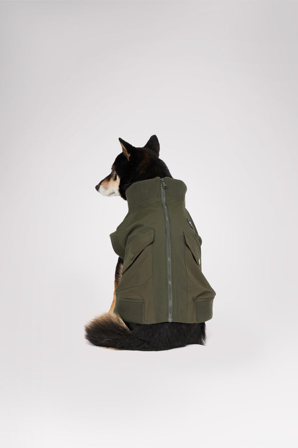 pajar canada Marley Bomber Jacket for Dogs