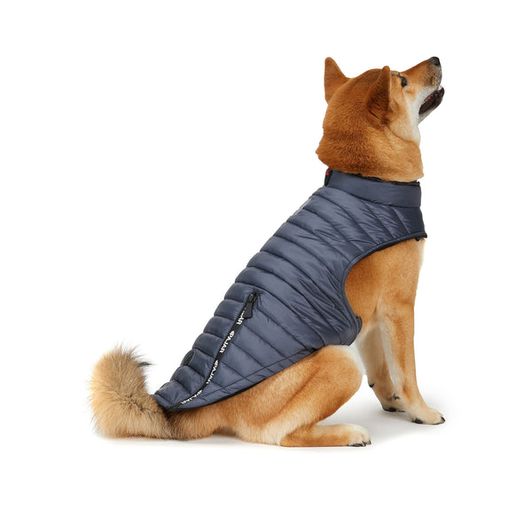 pajar canada Spencer Jacket for Dogs