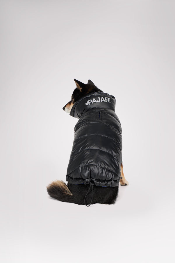 Pajar Canada Theo Reversible Puffer For Dogs